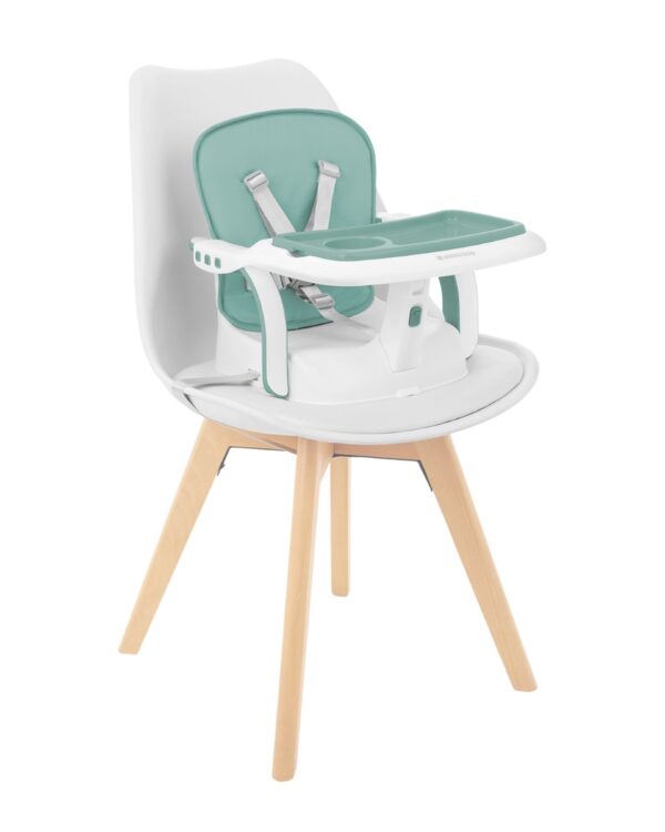 chewy_mint_31004010158_7-1774518492-WokFUT chewy_mint_31004010158_7-1774518492-WokFUT