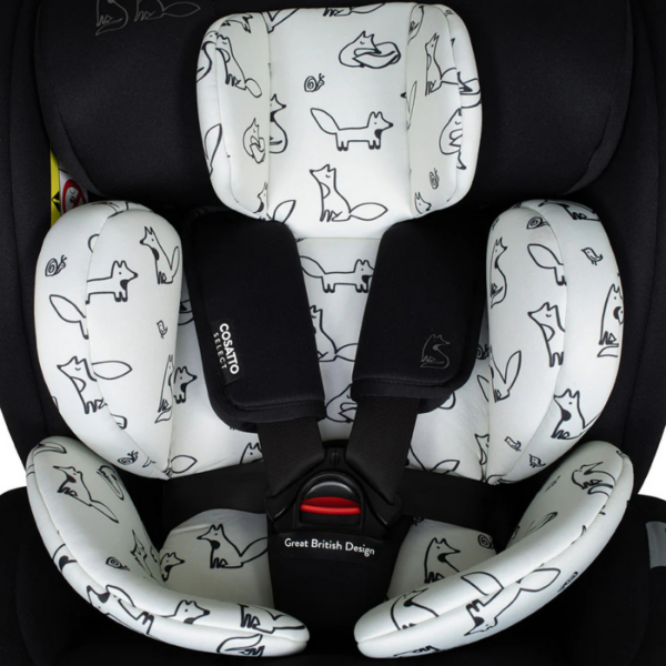 come-and-go-foxed-8_173081261153-1773704305-TMpCIe come-and-go-foxed-8_173081261153-1773704305-TMpCIe