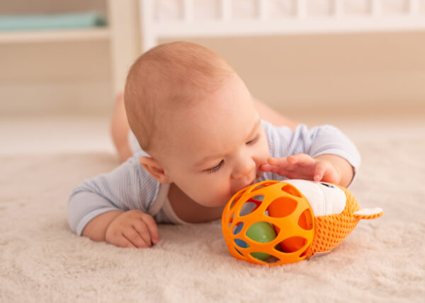 image-1774757363-HJV3QS image-1774757363-HJV3QS
