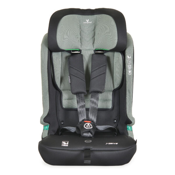 image-1774809855-M9vPlV image-1774809855-M9vPlV