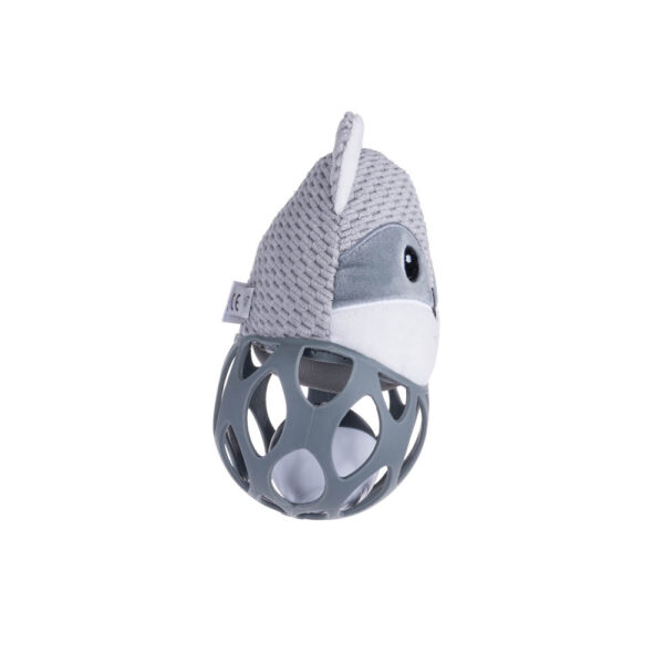 image-1774813600-yWJgYw image-1774813600-yWJgYw