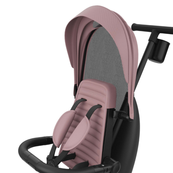 jazzz-pink-11-1773686424-hDi9DY jazzz-pink-11-1773686424-hDi9DY