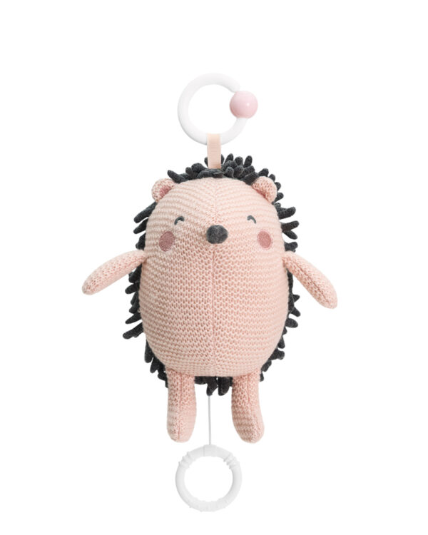 musical_toy_hedge-hugs_31201010416_1-1774532924-h8O9t8