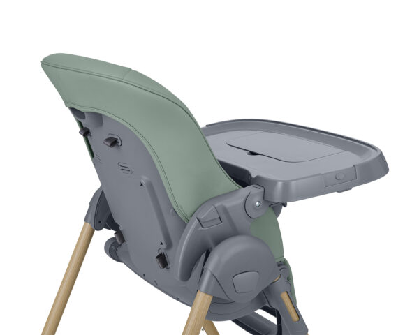 olive_mint_31004010210__11____1-1774538186-vJYfmU olive_mint_31004010210__11____1-1774538186-vJYfmU