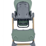 olive_mint_31004010210__15____1-1774538195-qJM0tJ