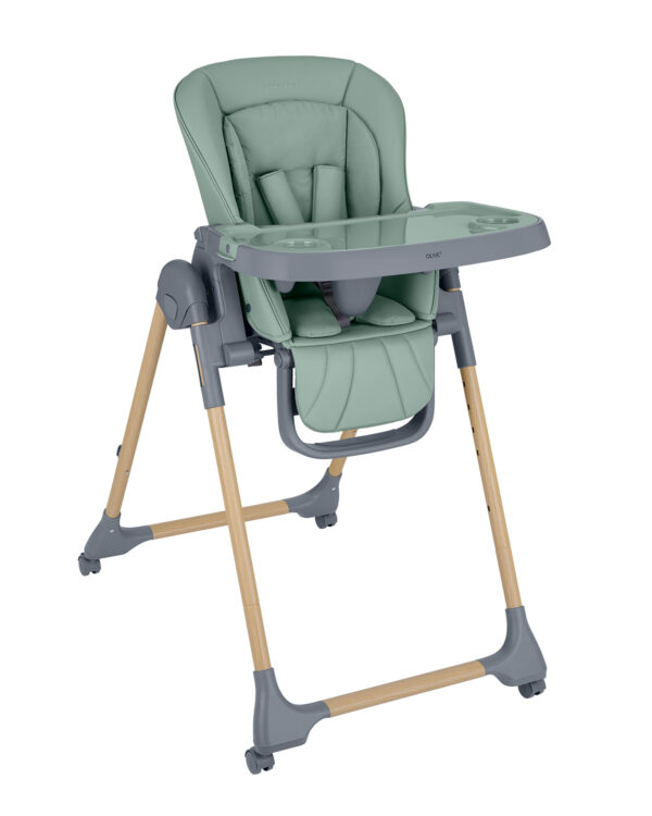 olive_mint_31004010210__1____1-1774538151-Ea8000