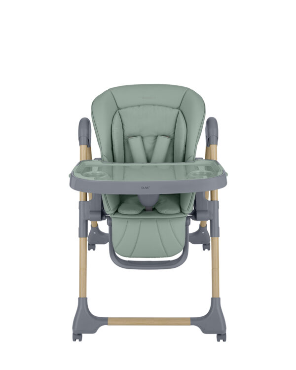 olive_mint_31004010210__3____1-1774538156-Qb9RfU olive_mint_31004010210__3____1-1774538156-Qb9RfU