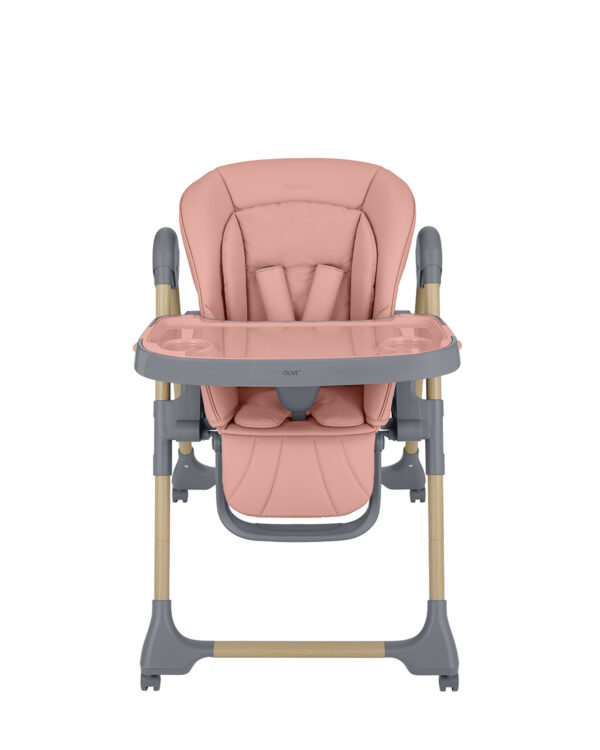 olive_pink_31004010211__3-1774538051-CfU8nt olive_pink_31004010211__3-1774538051-CfU8nt
