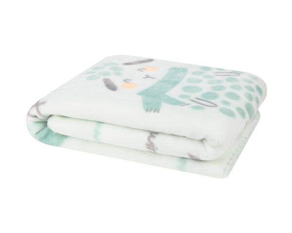 super_soft_blanket_2_31103020147-1774526996-Fy6mUS super_soft_blanket_2_31103020147-1774526996-Fy6mUS
