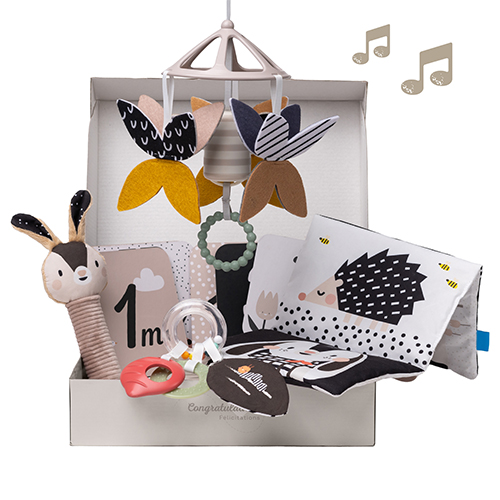 13475 Newborn Black & White Kit 2000x2000 13475 Newborn Black & White Kit 2000x2000