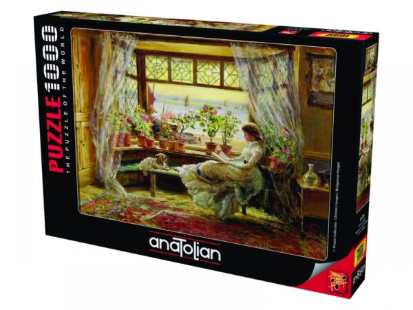 Reading-By-The-Window-1000-piece-anatolian-puzzle-1175-1777944651-yzN4yp Reading-By-The-Window-1000-piece-anatolian-puzzle-1175-1777944651-yzN4yp