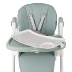 highchair_spicy_mint_8_31004010163-1778043889-te2l8D