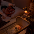 nestee-grow-life-1779245026-Y6L2k4