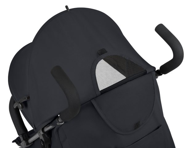 beetle_black_31001030240__8-1782018933-WXaIYT beetle_black_31001030240__8-1782018933-WXaIYT