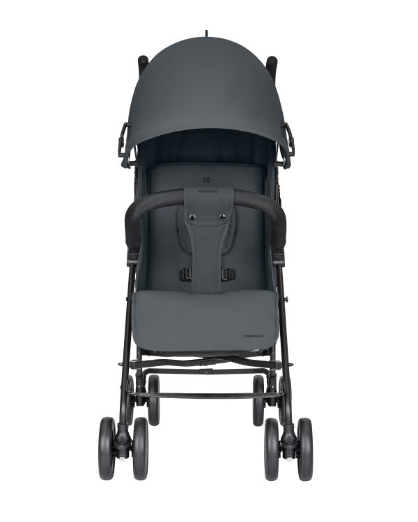beetle_dark_grey_31001030241__2-1782018820-ce2PlR beetle_dark_grey_31001030241__2-1782018820-ce2PlR