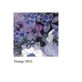 product_7069-1780611178-jro7zb
