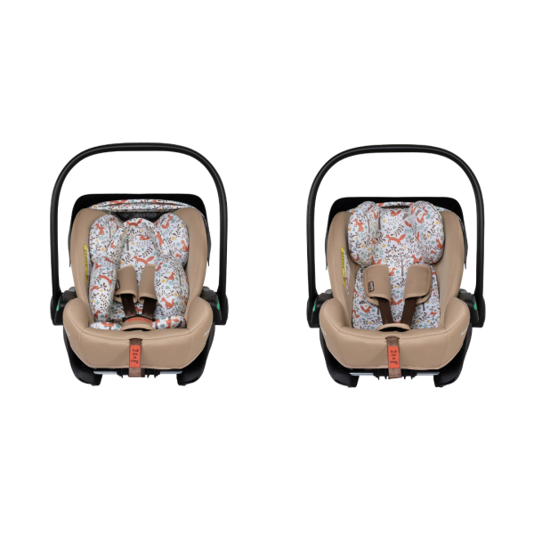 acorn-recline-foxford-hall-11-1788394311-UfUP08 acorn-recline-foxford-hall-11-1788394311-UfUP08