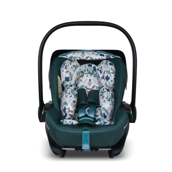 acorn-recline-masquerade-8-1788394263-rEnOa6 acorn-recline-masquerade-8-1788394263-rEnOa6