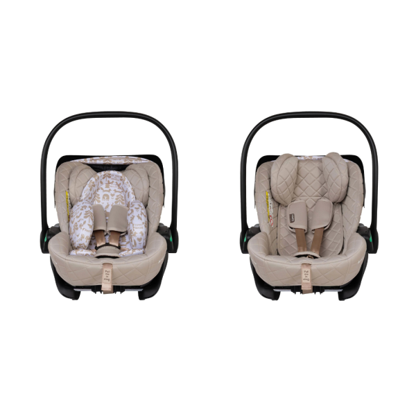 acorn-recline-whisper-10-1788394348-ZiwhGG acorn-recline-whisper-10-1788394348-ZiwhGG