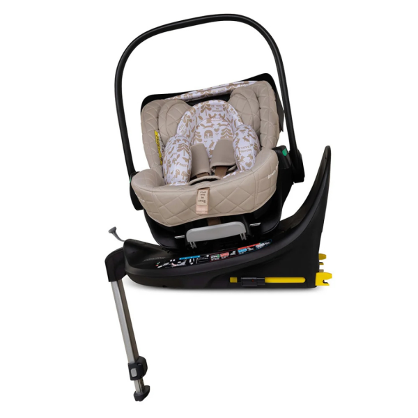 acorn-recline-whisper-4-1788394361-1mGyPI acorn-recline-whisper-4-1788394361-1mGyPI