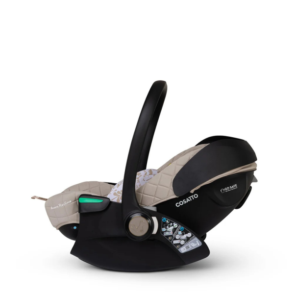 acorn-recline-whisper-6-1788394356-ZnG9TN acorn-recline-whisper-6-1788394356-ZnG9TN