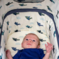 giggle-4-se-skylark-3-1788566499-D7T9Qd