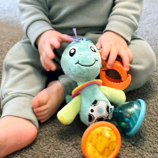 visyashta-igrachka-playgro---dinozavar-deni-34