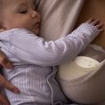 SCF494-11-Philips-Avent-Hands-free-Natural-Care-pompa-za-karma_s-bebe-1792617948-ek4KqP